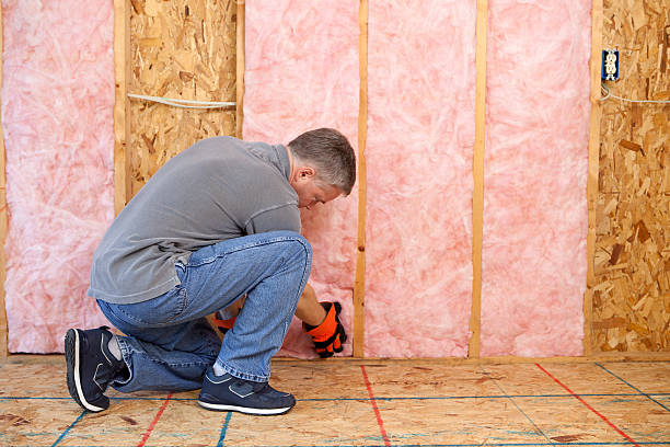 Best Insulation Contractors for Homes  in Biloxi, MS