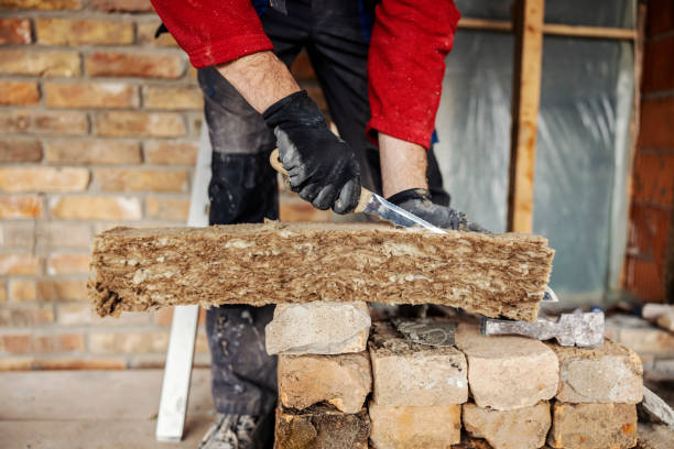 Best Insulation Removal  in Biloxi, MS