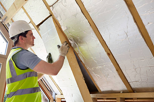 Best Blown-in Insulation  in Biloxi, MS